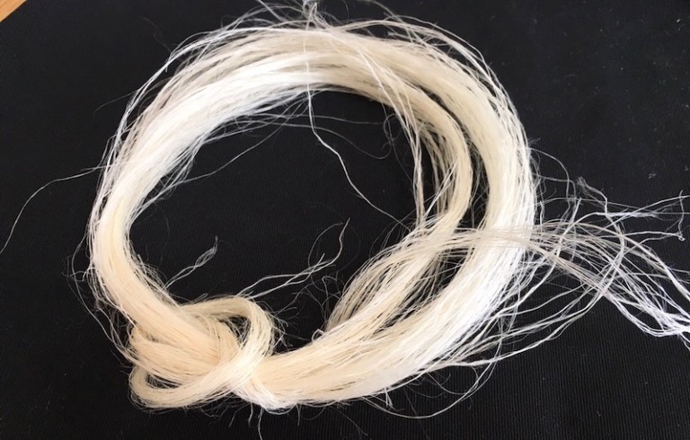 麻糸産み講座〜光り輝く大麻繊維 麻糸village